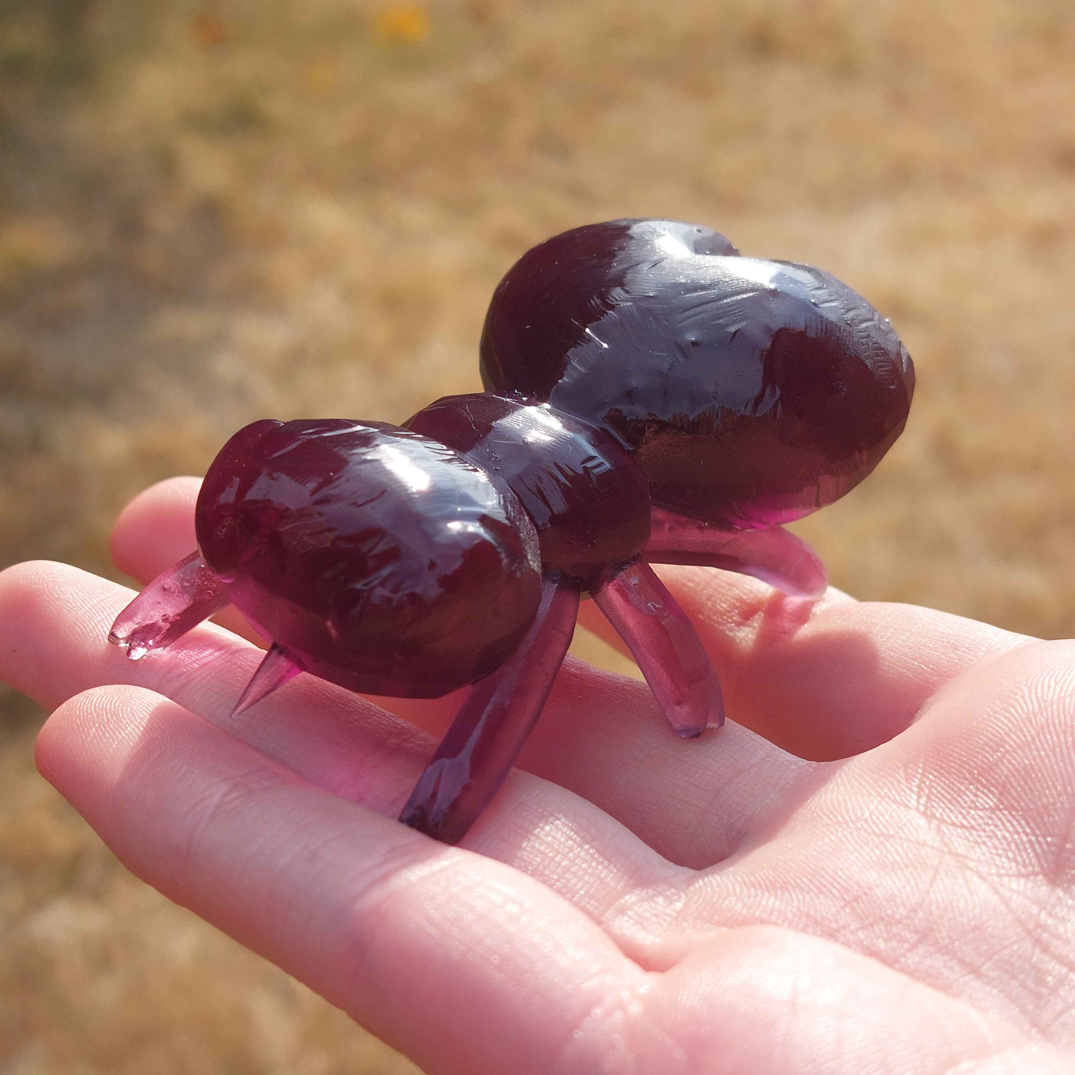 Resin Sheep Ked