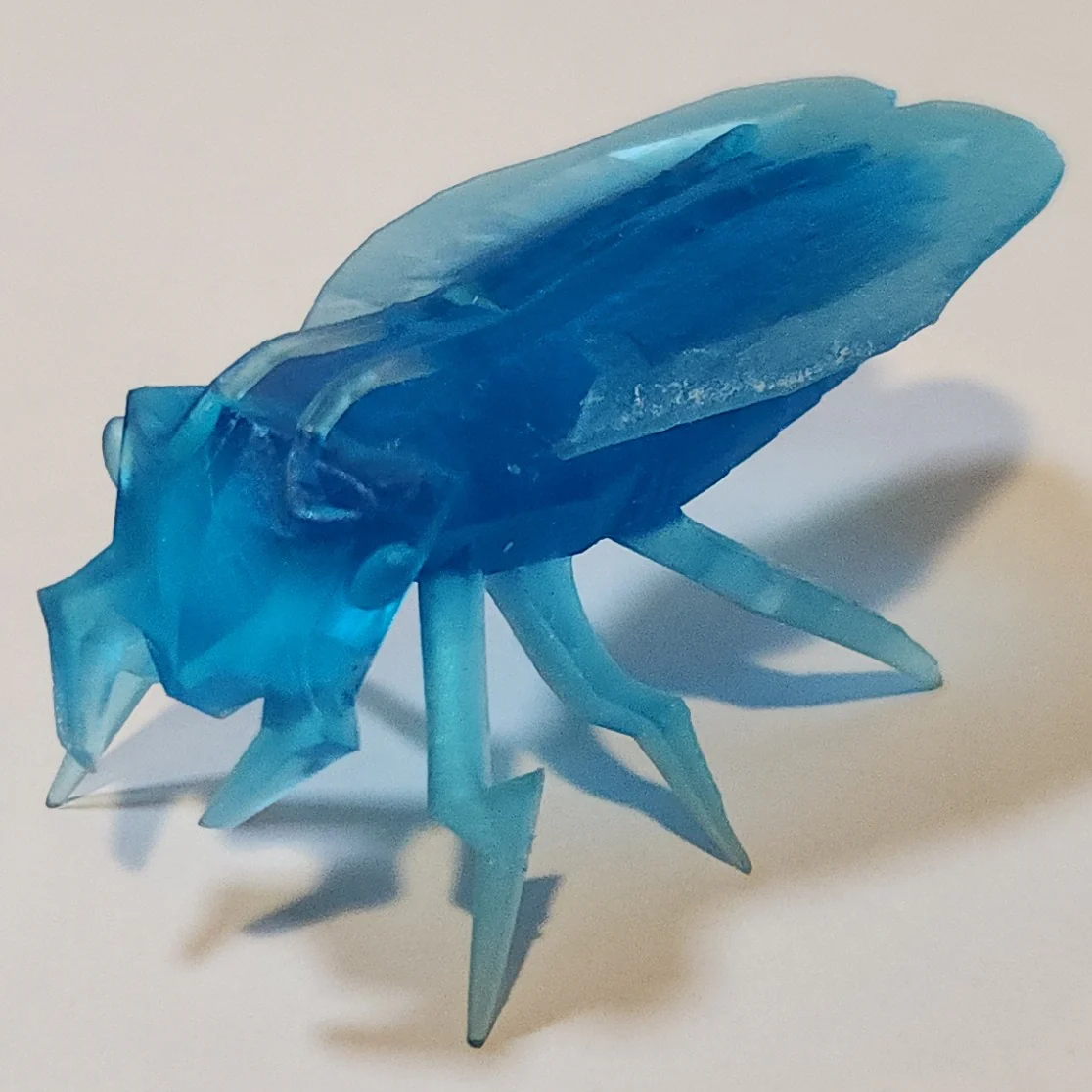 Blue Dobson Fly